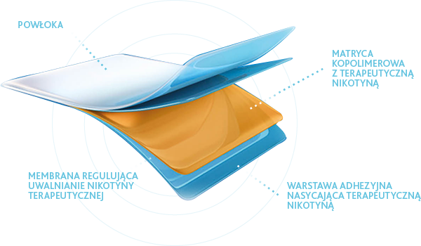 Product banner